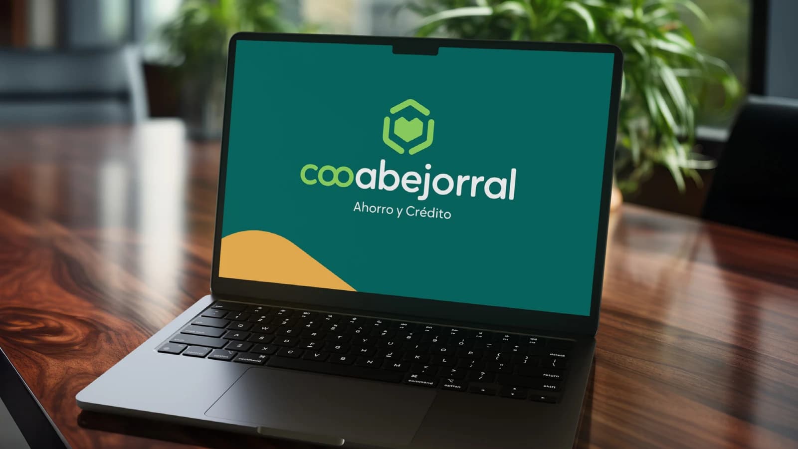 Cooabejorral digital identity mockup