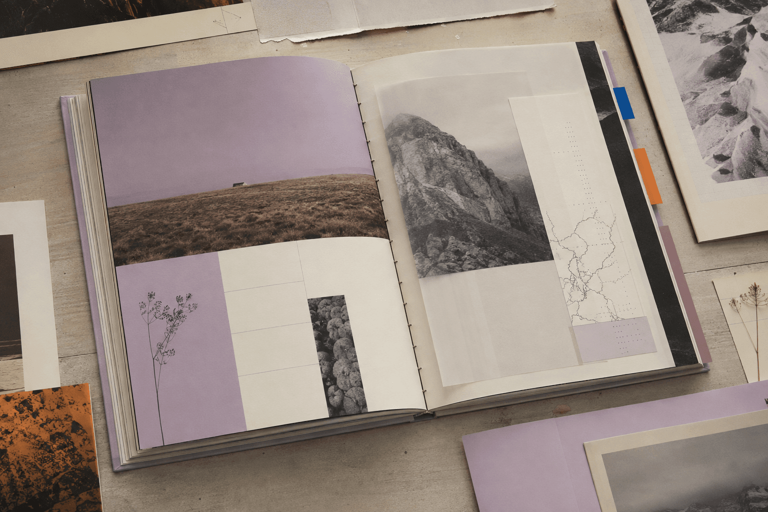 Open field guide with modular layouts, photographs and translucent inserts